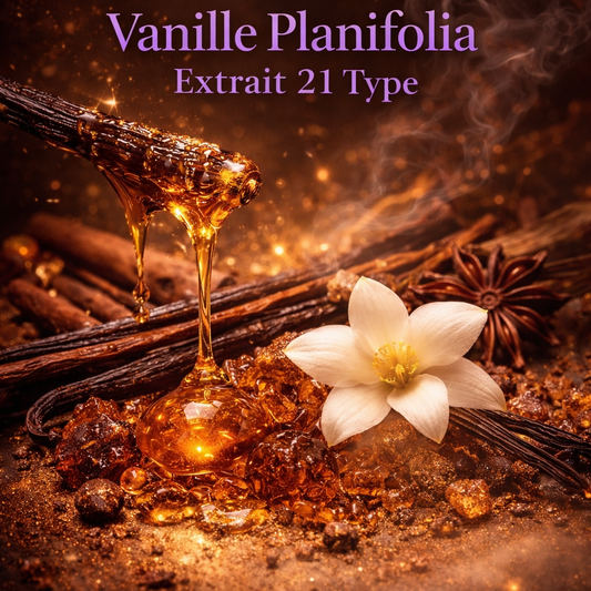 Vanilla Planifolia Extrait 21 Type (Unisex) Perfume Oil